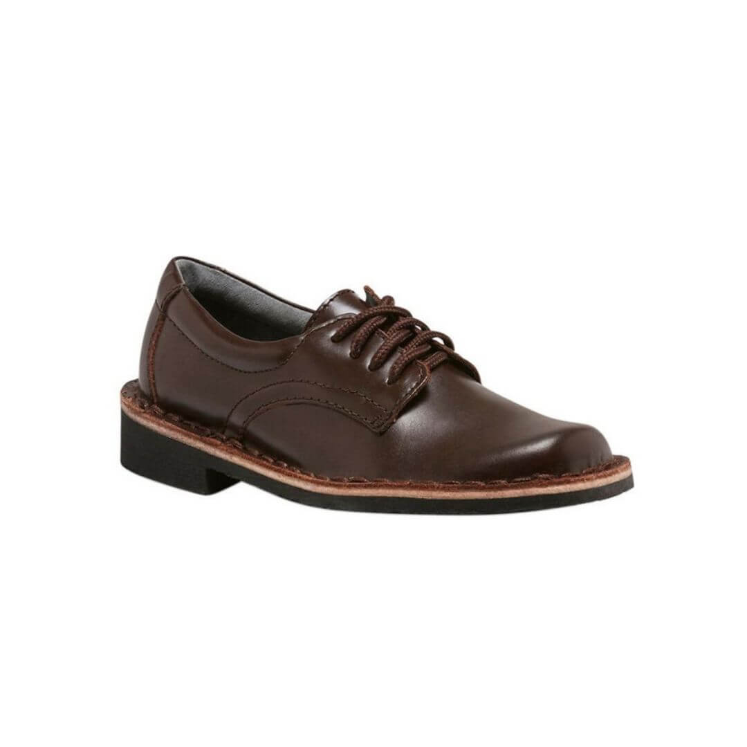 Indy Snr in Brown Hi Shine from Harrisons